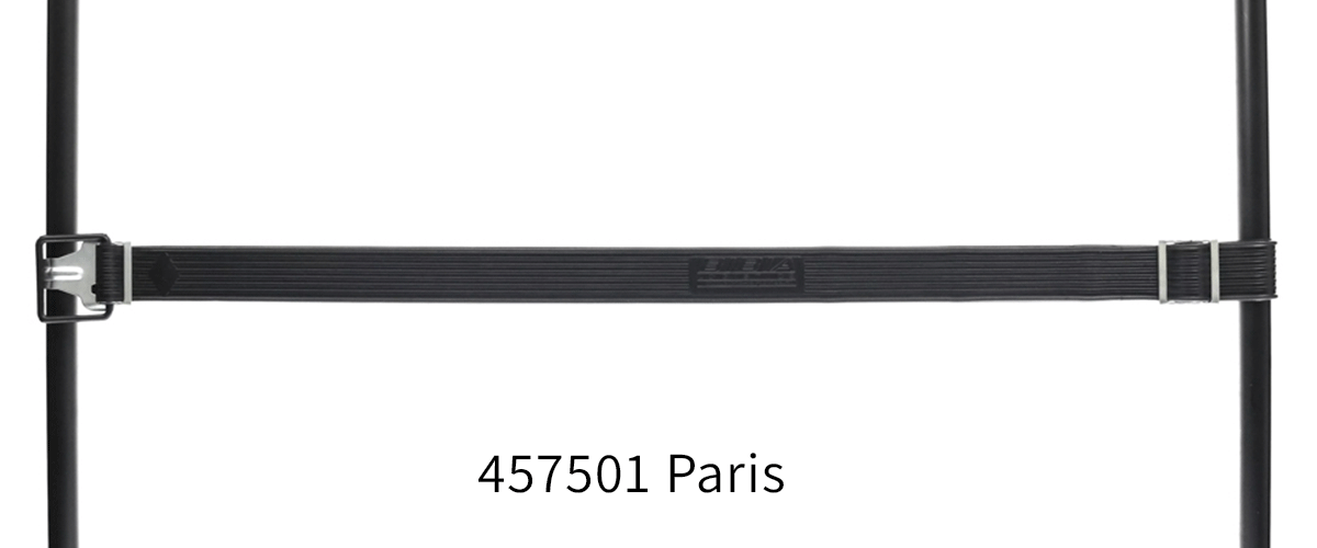457501_Paris_full.png