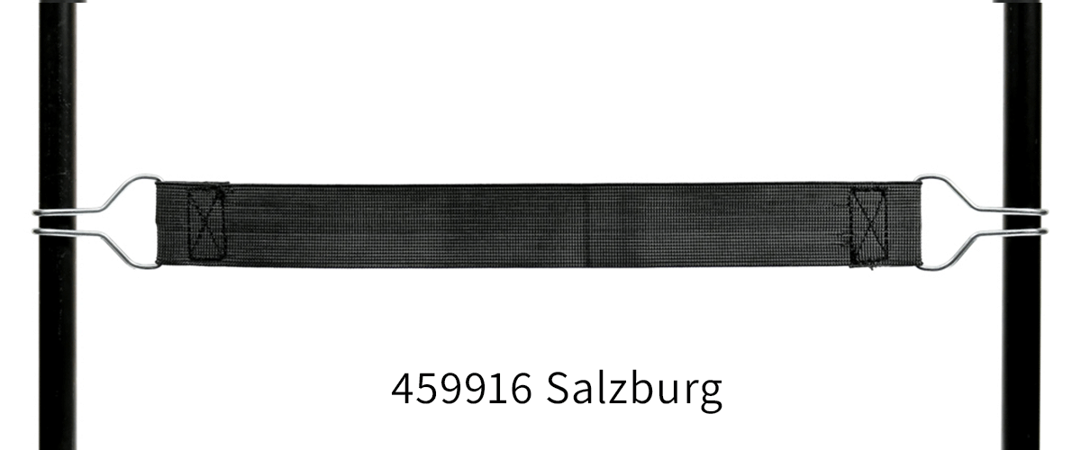 459916_Salzburg_full.png