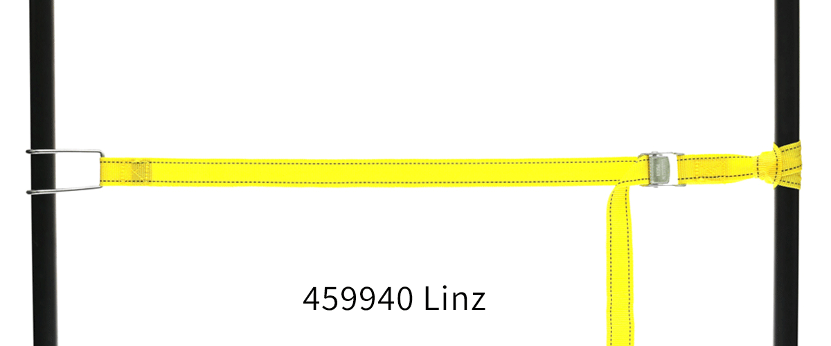 459940_Linz_full.png