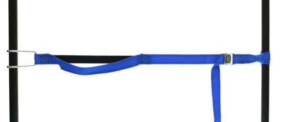 459965: PP strap with elastic piece, buckle and robust hook - Image 4