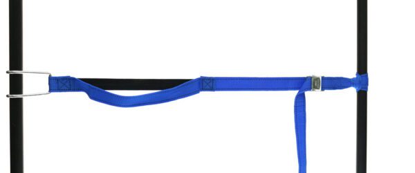 459965: PP strap with elastic piece, buckle and robust hook - Image 5