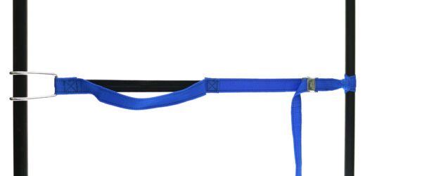 459965: PP strap with elastic piece, buckle and robust hook - Image 6