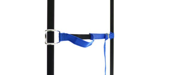 459965: PP strap with elastic piece, buckle and robust hook - Image 10