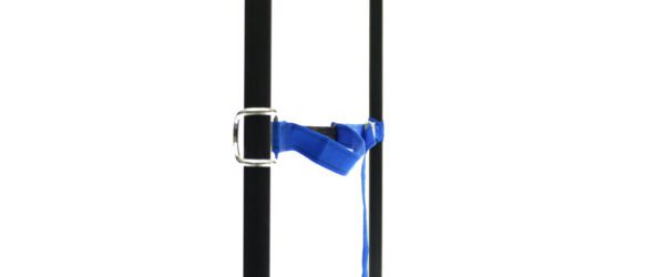 459965: PP strap with elastic piece, buckle and robust hook - Image 11