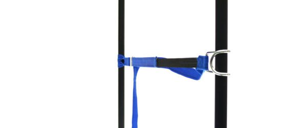 459965: PP strap with elastic piece, buckle and robust hook - Image 14