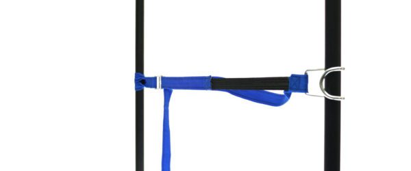 459965: PP strap with elastic piece, buckle and robust hook - Image 15