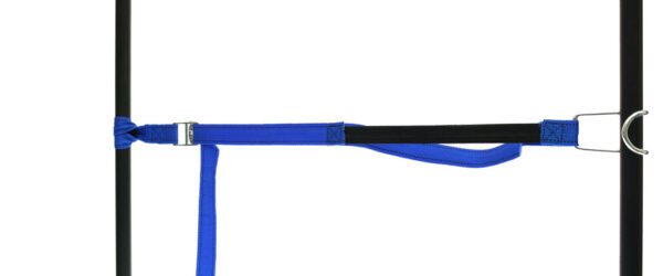 459965: PP strap with elastic piece, buckle and robust hook - Image 18