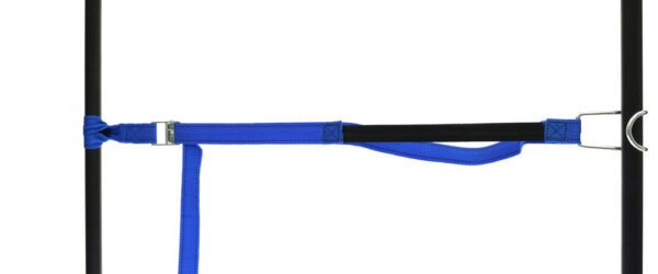 459965: PP strap with elastic piece, buckle and robust hook - Image 19