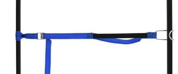459965: PP strap with elastic piece, buckle and robust hook - Image 20