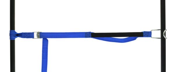459965: PP strap with elastic piece, buckle and robust hook - Image 21