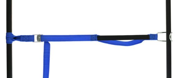 459965: PP strap with elastic piece, buckle and robust hook - Image 22