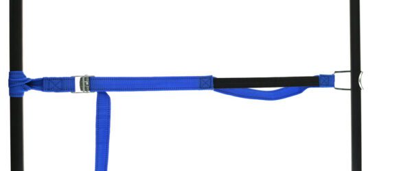 459965: PP strap with elastic piece, buckle and robust hook - Image 23