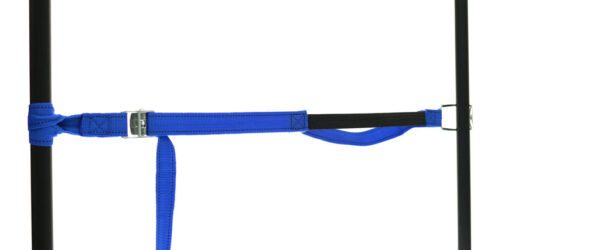 459965: PP strap with elastic piece, buckle and robust hook - Image 25