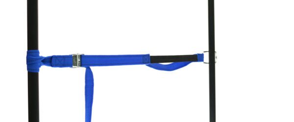 459965: PP strap with elastic piece, buckle and robust hook - Image 26