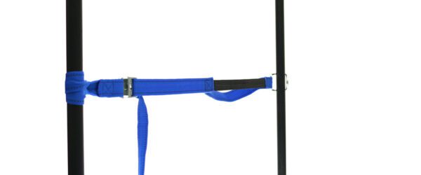 459965: PP strap with elastic piece, buckle and robust hook - Image 27