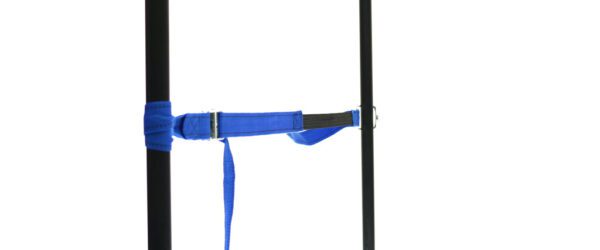 459965: PP strap with elastic piece, buckle and robust hook - Image 28