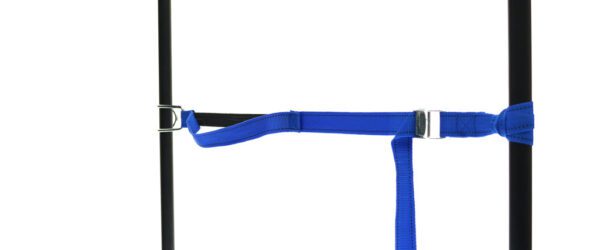 459965: PP strap with elastic piece, buckle and robust hook - Image 34