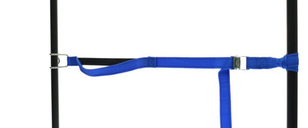 459965: PP strap with elastic piece, buckle and robust hook - Image 36