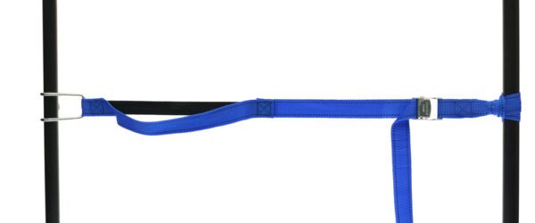 459965: PP strap with elastic piece, buckle and robust hook - Image 38
