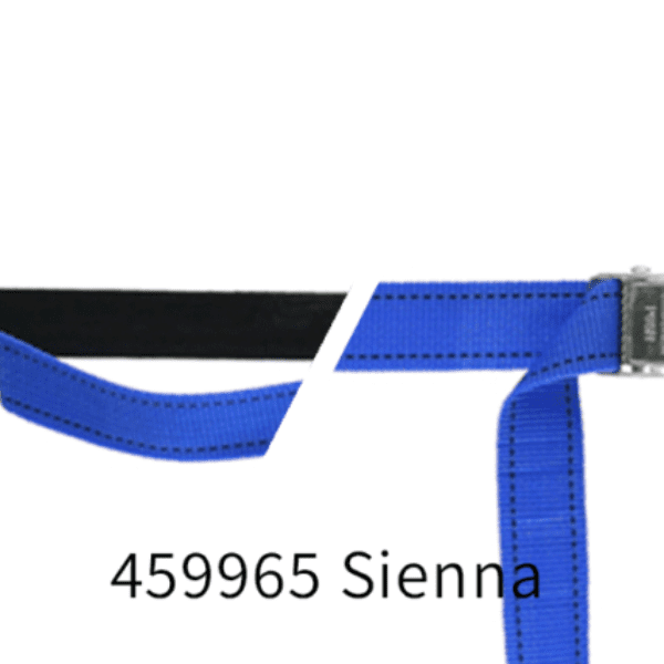 459965: PP strap with elastic piece, buckle and robust hook