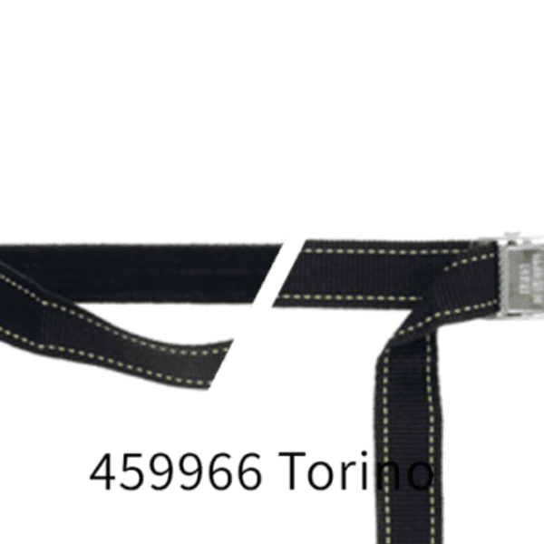 459966: PP strap with elastic piece, buckle and robust hook