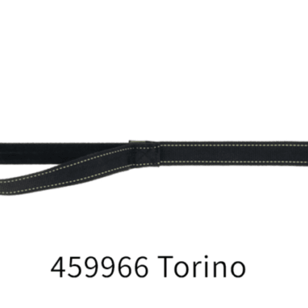459966: PP strap with elastic piece, buckle and robust hook